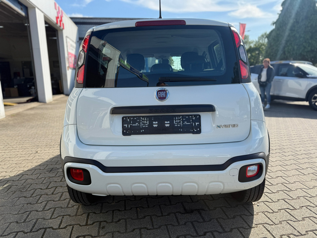 47527354-8.jpg