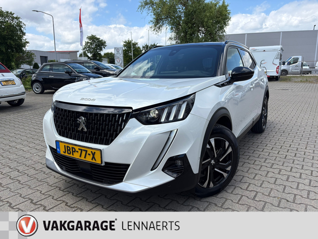 54308819